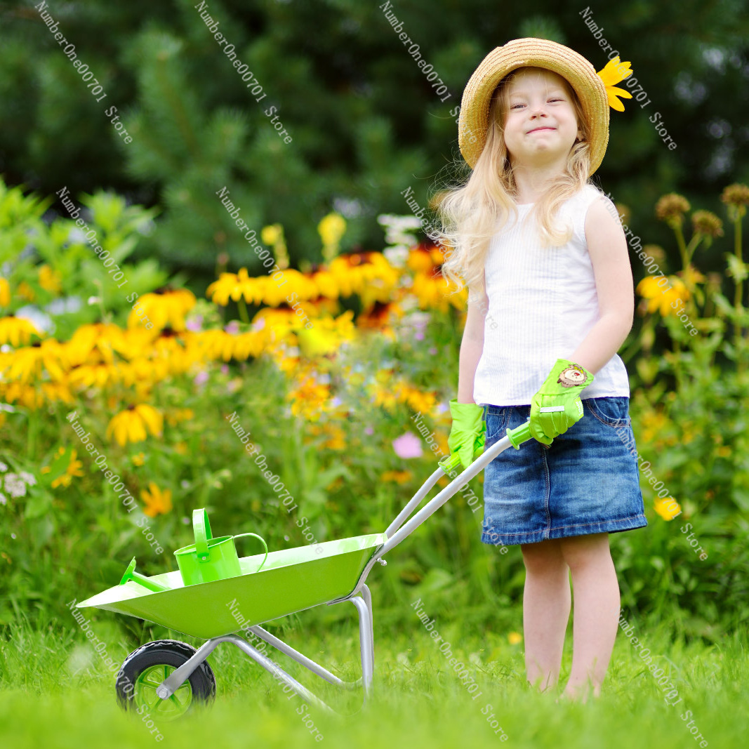 Kids Outdoor Wheelbarrow, Gree - Kids Outdoor Activity Toys avaliação e preço