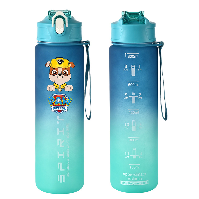 800ml PAW Patrol Sports Water  - Kids Outdoor Movies avaliação e preço