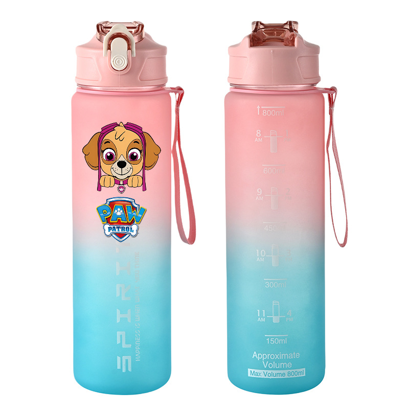 800ml PAW Patrol Sports Water  - Kids Outdoor Movies avaliação e preço