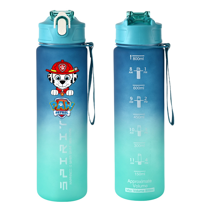 800ml PAW Patrol Sports Water  - Kids Outdoor Movies avaliação e preço